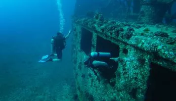 Photo of Certified Diving Tour: South Shore Wreck Dive