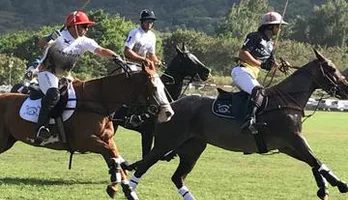 Photo of Polo Game and Private Island Tour from Honolulu