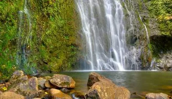 Photo of East Maui Waterfalls and Rainforest Hike