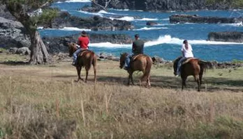 Photo of Maui Horseback-Riding Tour