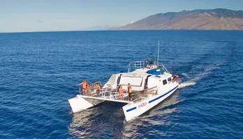 Photo of Maui Snorkeling Tour to Coral Gardens or Molokini Crater with Optional Lunch