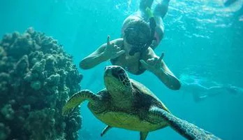 Photo of West Maui Snorkeling Adventure