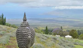 Photo of Haleakala National Park Daytime tour plus Ali'i Kula Lavender Farm