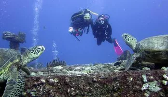 Photo of Small-Group Shallow Reef Dive in Honolulu
