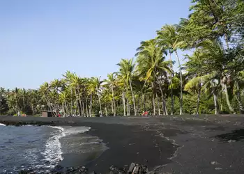 Photo representing Exploring Punalu’u, Hawaii’s Famed Black Sand Beach