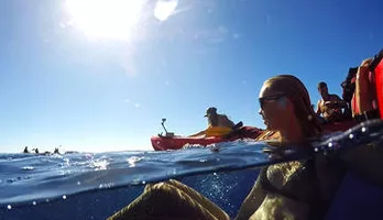 Photo of Kauai South Shore Sea Kayak Adventure