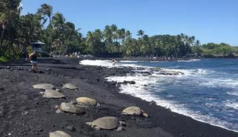 Photo of Hawaii Big Island Circle Small Group Tour: Waterfalls - Hilo - Volcano - Black Sand Beach