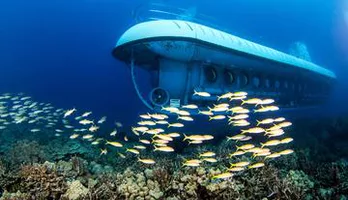 Photo of Atlantis Kona Submarine Adventure