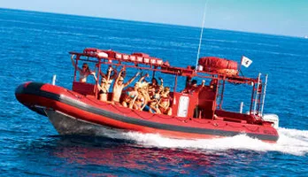 Photo of Maui Whale-Watching Tour by Raft