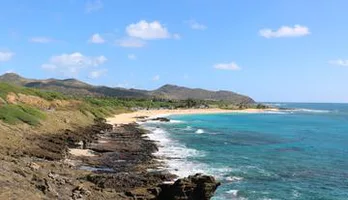 Photo of Oahu Private Island Tour: Waikiki, North Shore, and the Dole Plantation