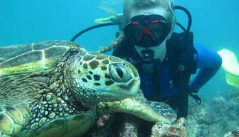 Photo of Beginner Scuba Dive with Turtles