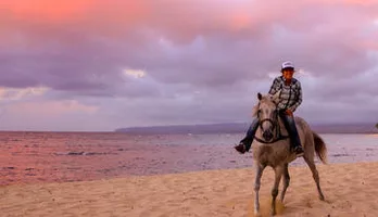 Photo of Hawaii Polo Oceanfront Horseback Rides