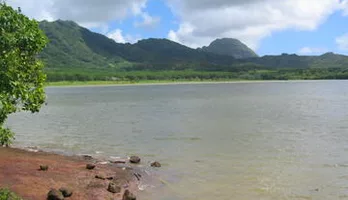 Photo of Fresh-Water Bass Fishing Trip on Kauai
