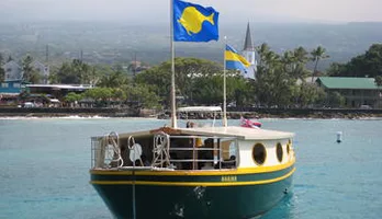 Photo of Glass-bottom Boat Reef Tour