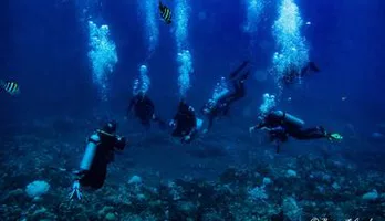 Photo of One Tank Dive For Certified Diver
